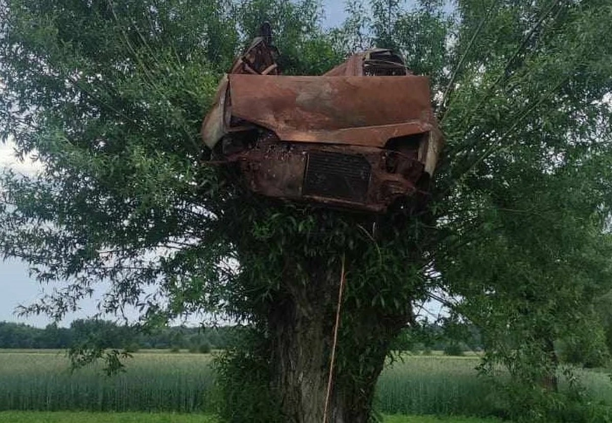 Niecodzienna interwencja strażaków w gminie Czastary w powiecie wieruszowskim (woj. łódzkie). Na koronie wierzby rosnącej obok drogi i pól zawisł spalony wrak samochodu. Nie wiadomo, jak się tam znalazł. Próbuje to wyjaśnić policja. 