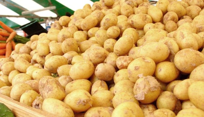 Ostrzeżenie GIS. Wycofują partie ziemniaków z popularnego marketu