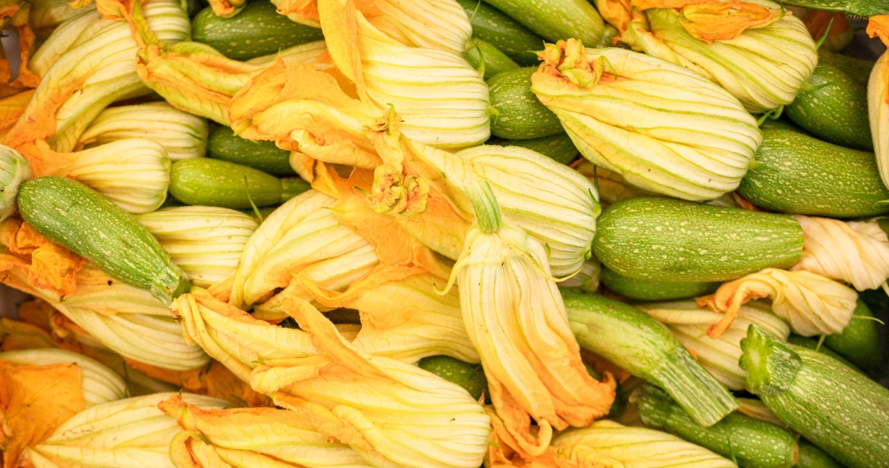 Sprzymierzeniec cukrzyków, kopalnia antyoksydantów. Dla Włochów to rarytas