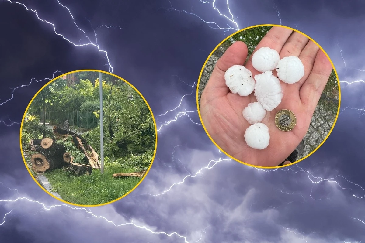 Niemal pół tysiąca razy wyjeżdżali strażacy do usuwania skutków wczorajszych i nocnych burz. Najwięcej pracy mieli na Dolnym Śląsku, a także w woj. kujawsko-pomorskim, wielkopolskim, śląskim i mazowieckim. W tym ostatnim regionie ranna została jedna osoba. Na Dolnym Śląsku zerwany został dach ze świetlicy wiejskiej oraz zniszczony cmentarz. 