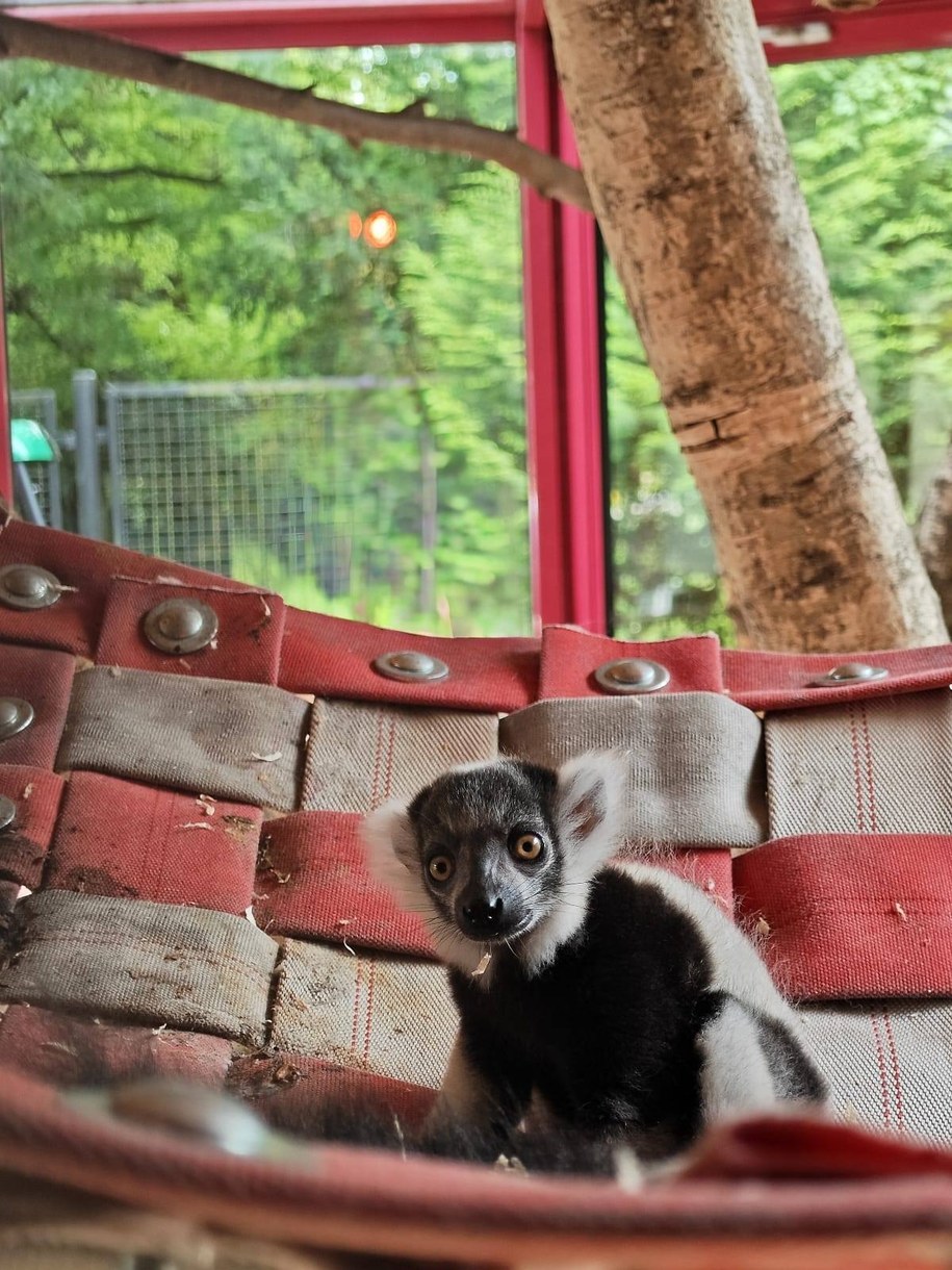 /Śląski Ogród Zoologiczny /