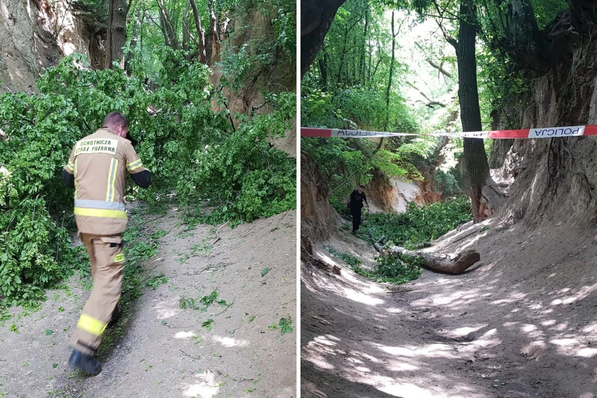 Na grupę dzieci spadł konar, który odłamał się od drzewa. Do szpitala trafiło dziesięć osób, w tym dziewięcioro dzieci. Na miejscu lądował śmigłowiec LPR. Do zdarzenia doszło w Kazimierzu Dolnym (woj. lubelskie).