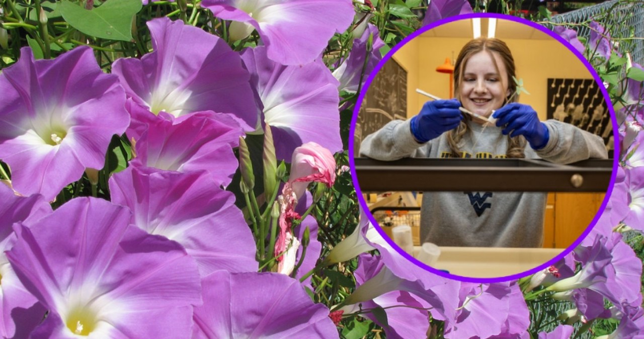 Wielkie odkrycie studentki. Nowy gatunek magicznych grzybków