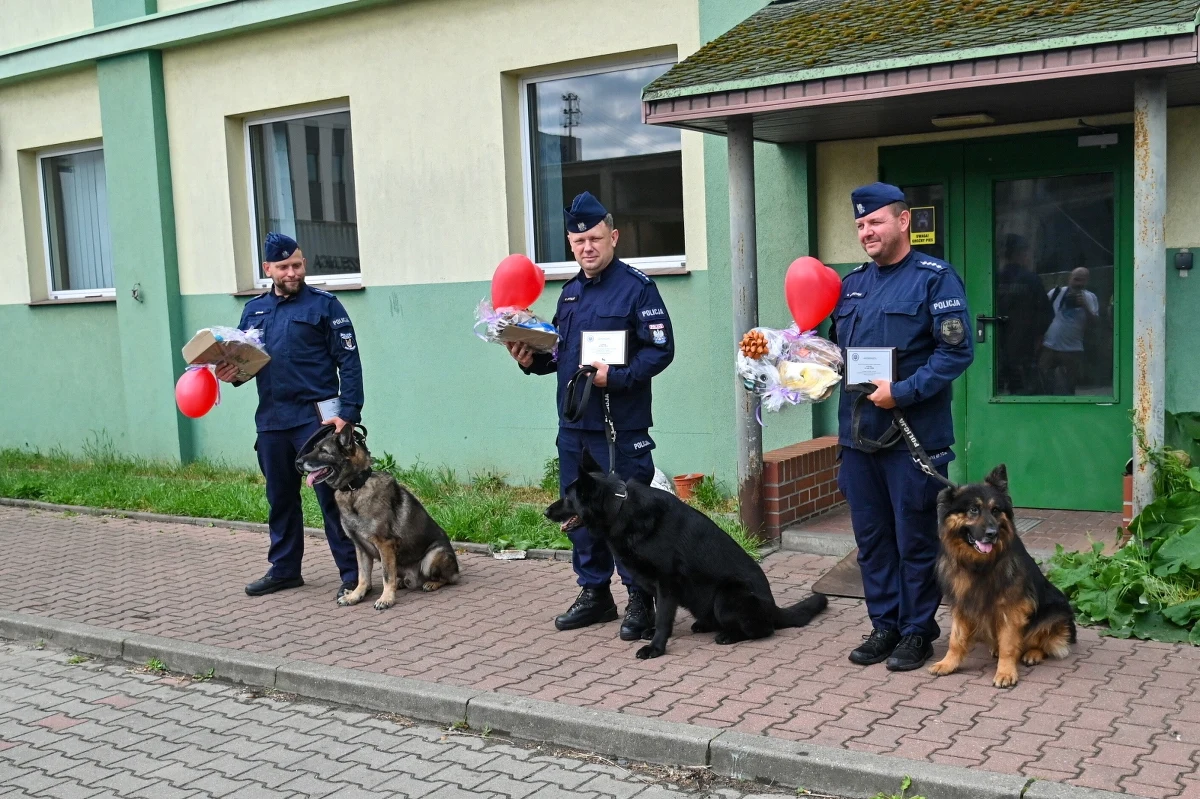 Psy policyjne - Kałam, Lejmur i Karzeł - w czwartek przeszły na emeryturę. Przez 10 lat tropiły przestępców, wyszukiwały narkotyki i pomagały w poszukiwaniu osób zaginionych w Szczecinie. W ostatnim dniu służby psy otrzymały m.in. pamiątkowe ryngrafy.