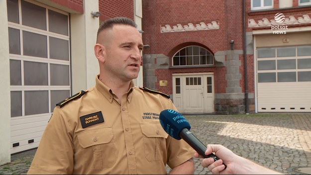 Tonący pies uratowany przez... innego psa. Poruszająca historia ze Szczecina. Jeden czworonóg ruszył na ratunek drugiemu, gdy ten nie potrafił wydostać się ze zbiornika retencyjnego z wodą. Szczekanie usłyszeli przechodnie i zadzwonili po pomoc.