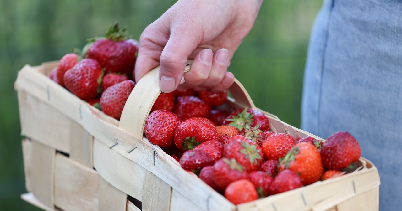 W ten sposób sprawdzisz, czy truskawki były pryskane. Wystarczy dwa produkty