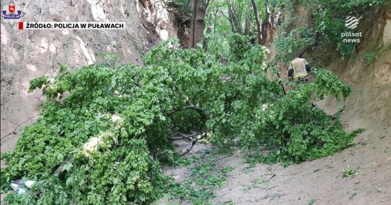 "Wydarzenia": Potężny konar spadł na grupę dzieci