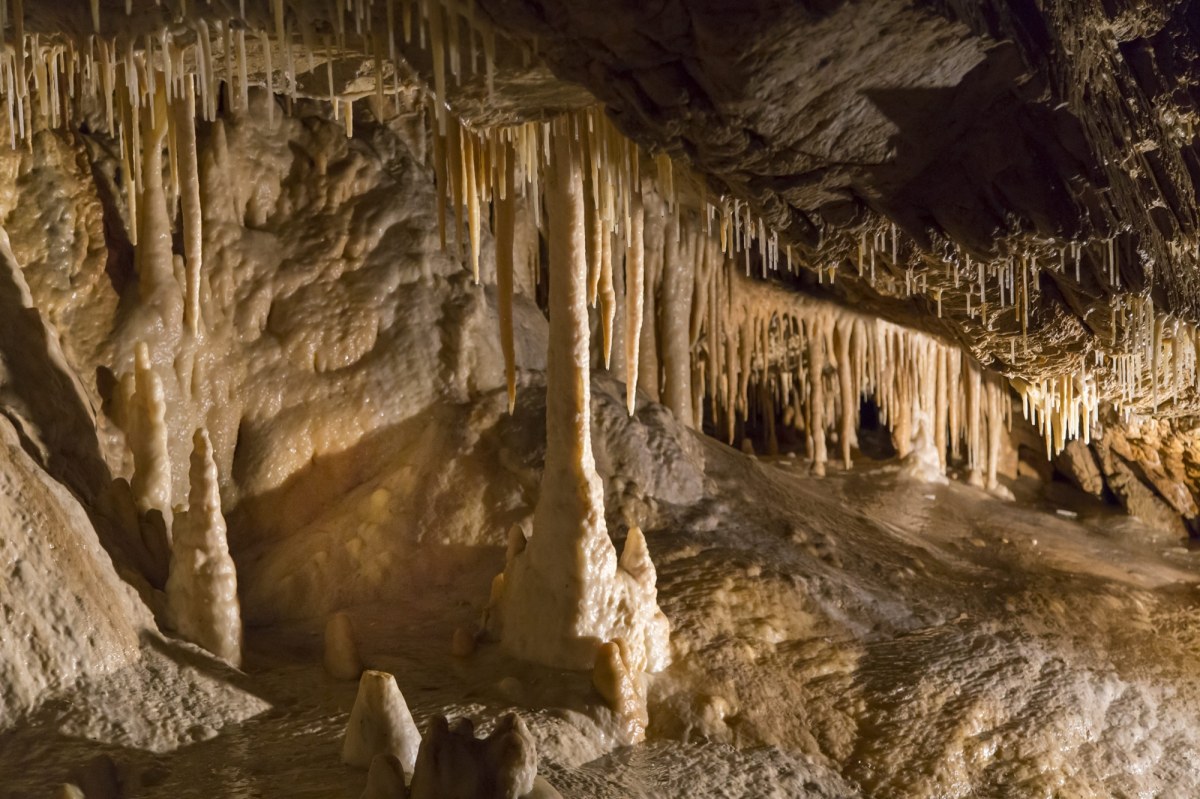 To będzie to jedna z największych atrakcji w kraju. Dzielą od niej ostatnie centymetry