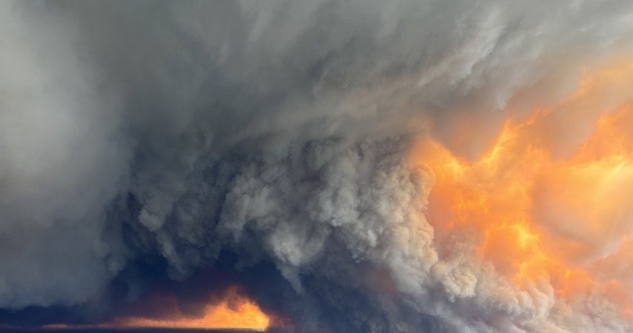 Wielkie miasta w cieniu pożarów. Ostrzeżono mieszkańców