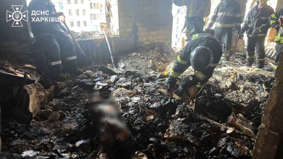 /Państwowa Służba Ratownicza Ukrainy /