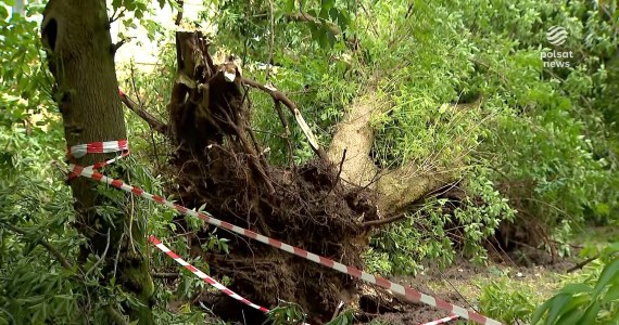 "Wydarzenia": Połamane gałęzie i drzewa, zalane ulice. Wichura we Włocławku