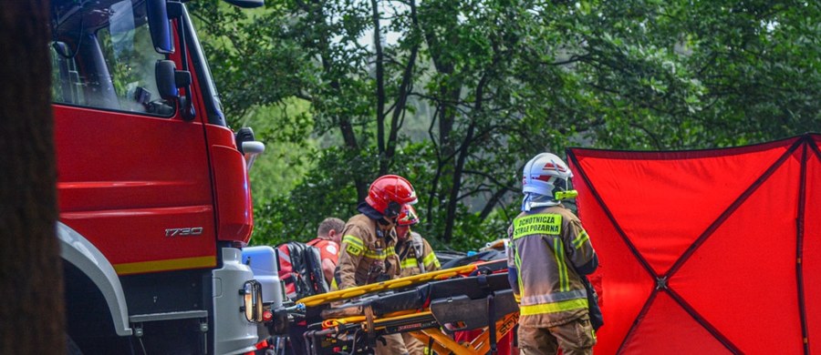 Tragiczny wypadek na drodze krajowej 46. Między Nysą i Opolem czołowo zderzyły się dwa samochody osobowe. Dwie osoby zginęły.