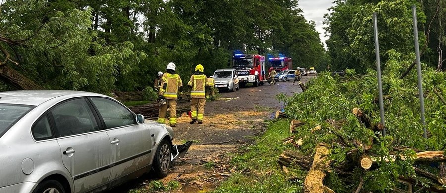 Ponad 700 zgłoszeń związanych z usuwaniem skutków gwałtownych zjawisk atmosferycznych odebrali strażacy w sobotę do godz. 19. Żywioł nie okazał się tak niszczycielski, jak w ostatnich dniach. Niemniej, zła pogoda doprowadziła m.in. do przerwania Spotkania Młodych w Lednicy.