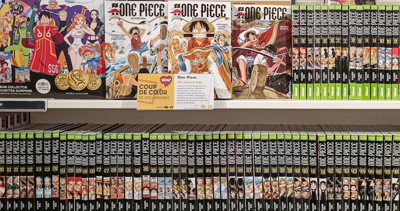 Nowa gra z serii One Piece nadchodzi. niedługo oficjalna zapowiedź