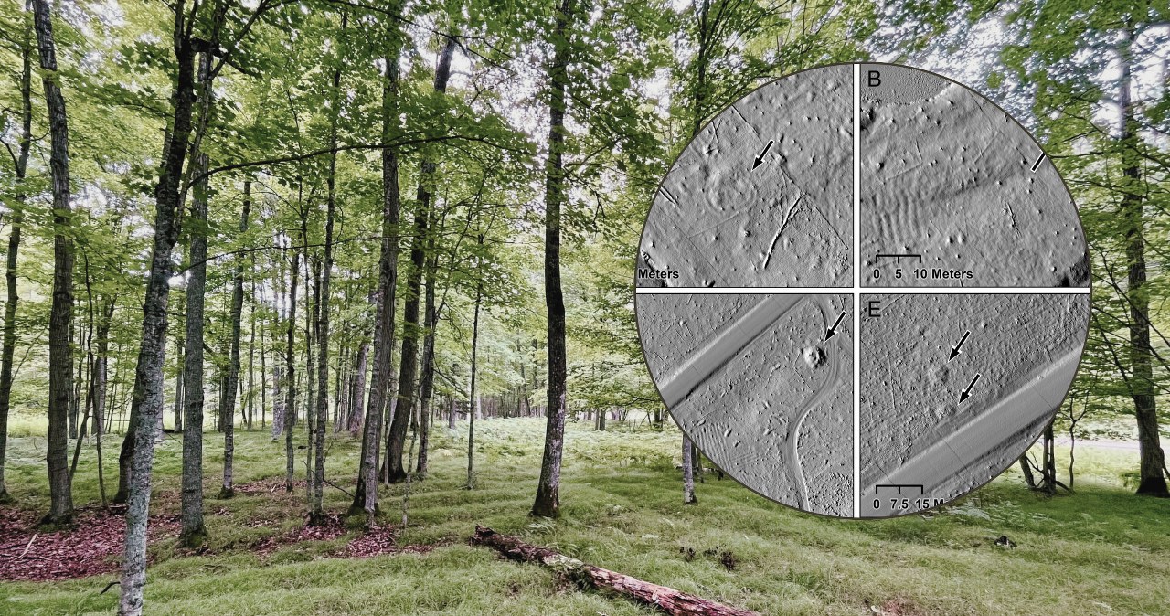 Głęboko w lesie drony badawcze namierzyły ogromną strukturę