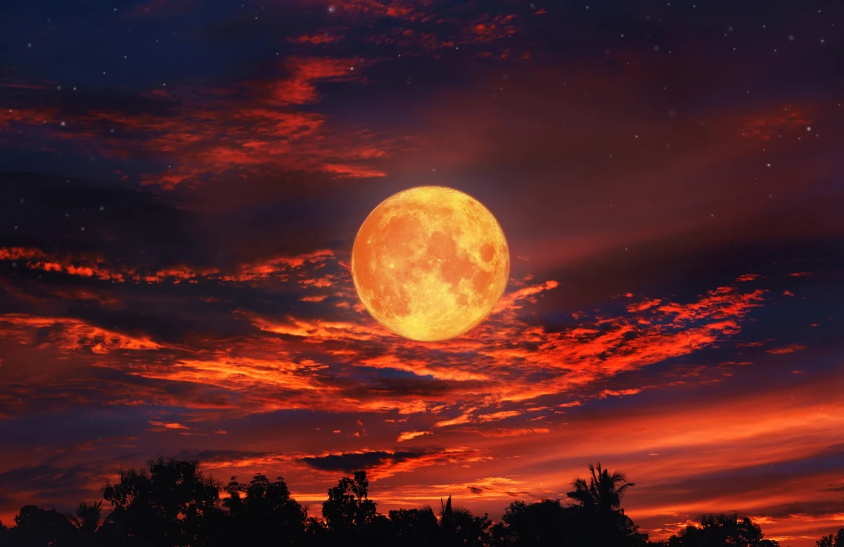 Już w środę 11 czerwca niebo nad Polską rozświetli wyjątkowa pełnia Księżyca - tzw. Truskawkowy Księżyc. Tegoroczne zjawisko będzie najniżej położoną pełnią od 18 lat. Efekt? Ogromny, pomarańczowy Księżyc tuż nad horyzontem, który wygląda jak ze snu. Nie przegap - kolejna taka okazja dopiero w 2043 roku.
