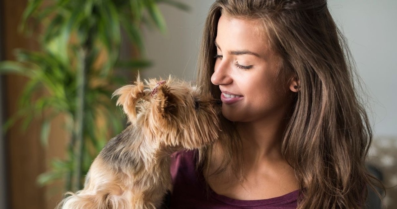 Szczęście liczone w tysiącach dolarów. Tylko niektórzy są tak bogaci