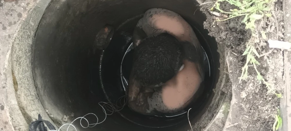 Nietypową interwencję przeprowadzili strażnicy miejscy z Krakowa. W studzience kanalizacyjnej na jednym z parkingów utknął młody mężczyzna. Stał w wodzie, był mocno wychłodzony.