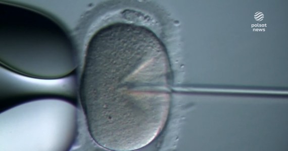 "Wydarzenia": W Polsce co roku dochodzi do 2 tysięcy nielegalnych adopcji