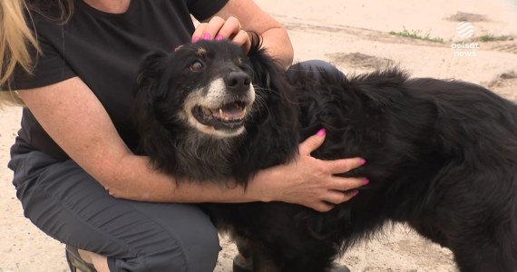 "Wydarzenia": Przytulisko Głowno potrzebuje pomocy