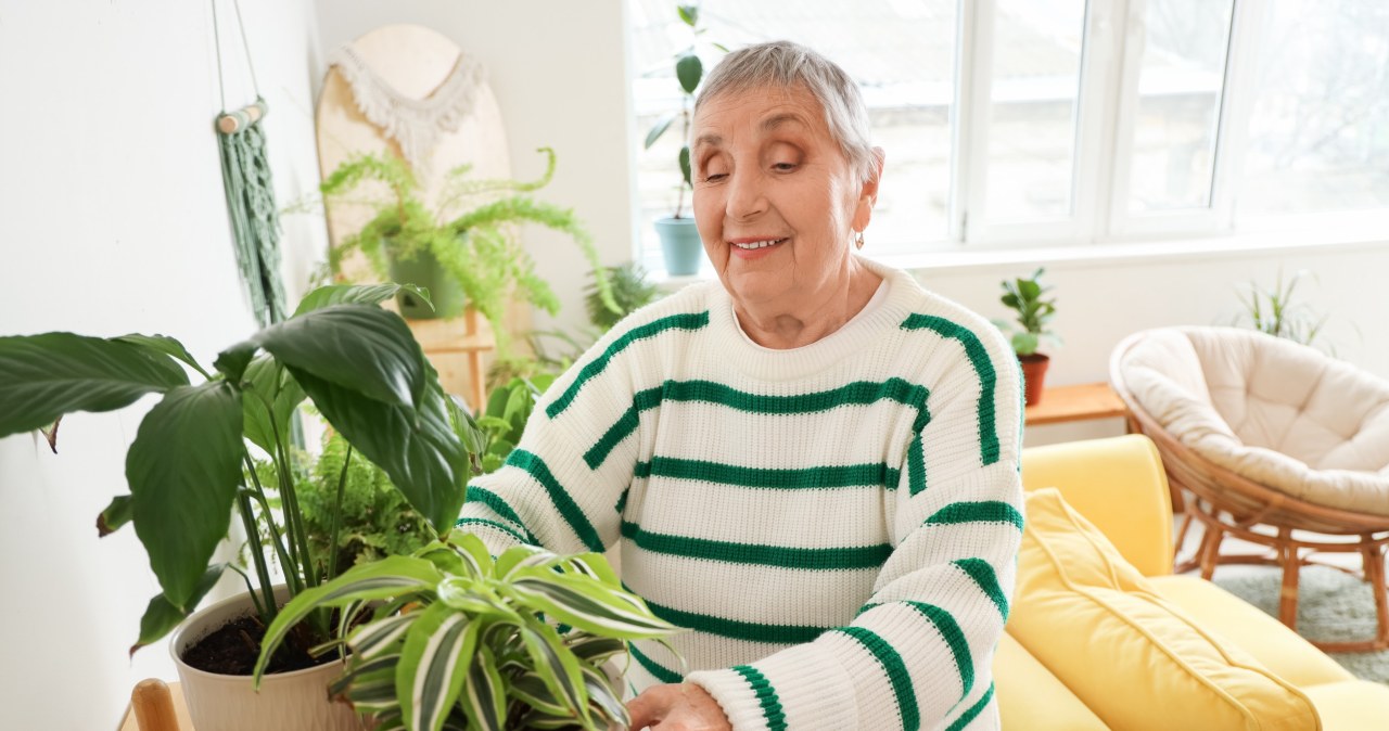 Czternasta emerytura większa o ponad 200 zł? Wystarczy jeden krótki wniosek
