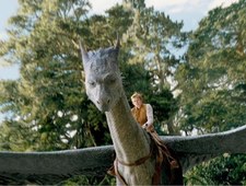 Eragon
