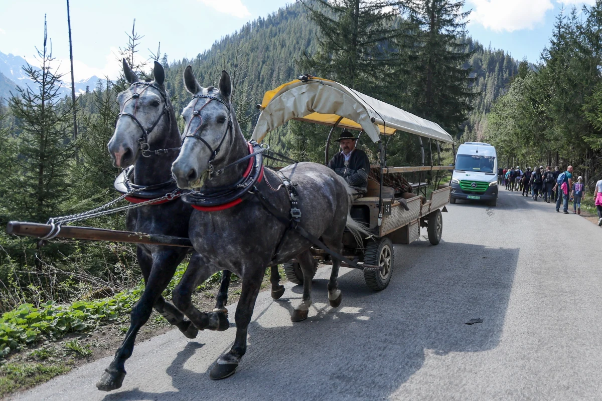 Weterynarze przeprowadzili coroczne badania koni wożących turystów nad Morskie Oka w Tatrach. Spośród 250 zwierząt, żaden nie został wycofany z pracy, wszystkie są w bardzo dobrej kondycji – przekazał lek. wet. Piotr Szpotański.