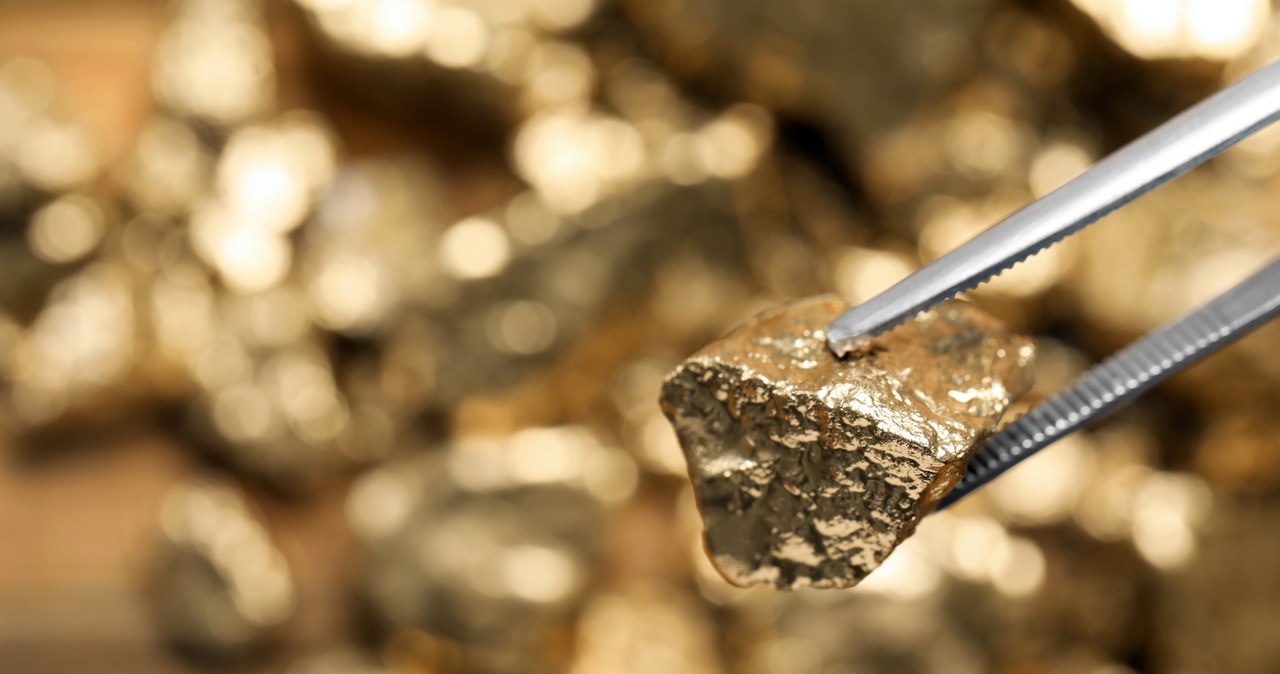Słynne muzeum okradzione. Zniknęło złoto warte 600 tys. euro