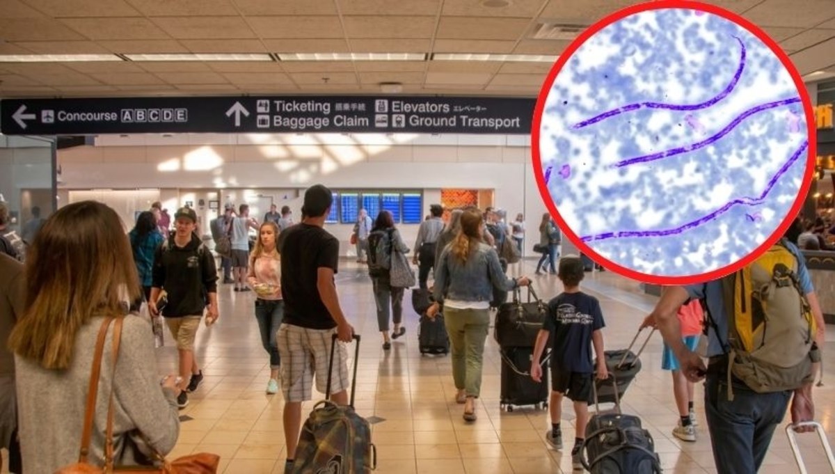 Naukowiec z Wuhan próbował przemycić niebezpieczny materiał biologiczny