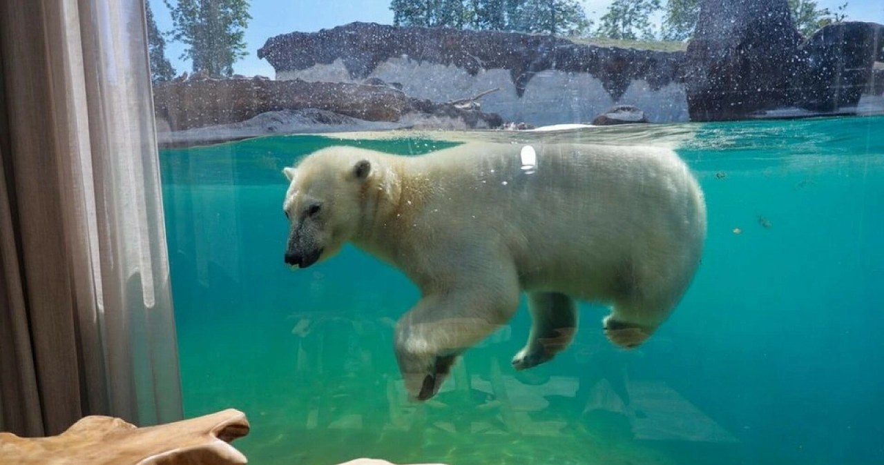 Hotele jak z bajki! Te miejsca warto odwiedzić chociaż raz w życiu
