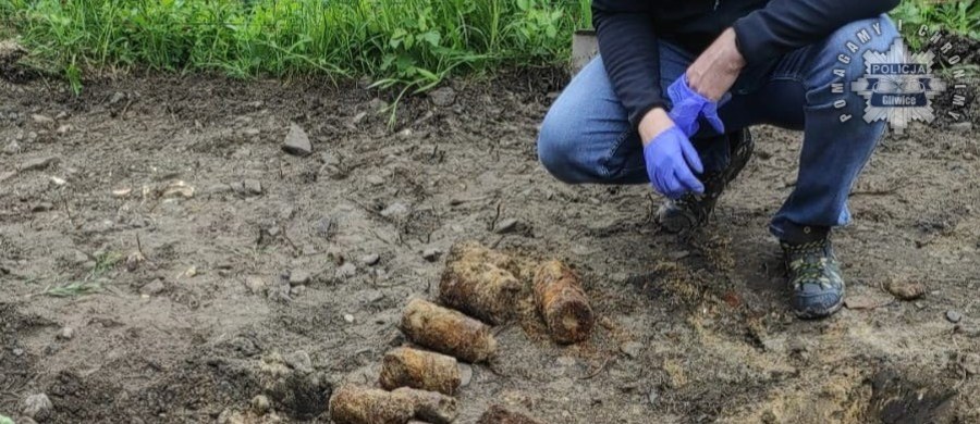 Aż 120 niewybuchów odkryto w Pyskowicach na Śląsku. To amunicja z czasów II wojny światowej. Niewybuchami zajęło się wojsko.
