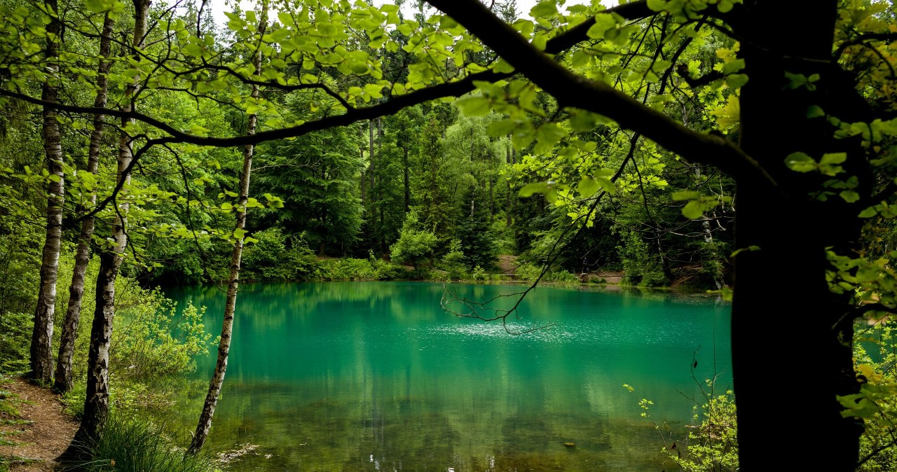 Niebywała trasa spacerowa na Dolnym Śląsku. Prowadzi do kolorowych jezior