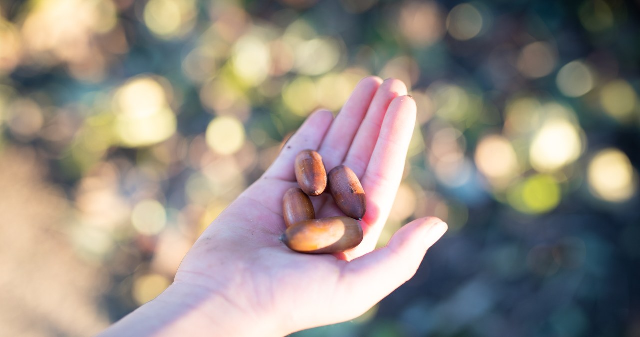 Tak odpędzisz od siebie pecha w piątek trzynastego. Noś to zawsze przy sobie