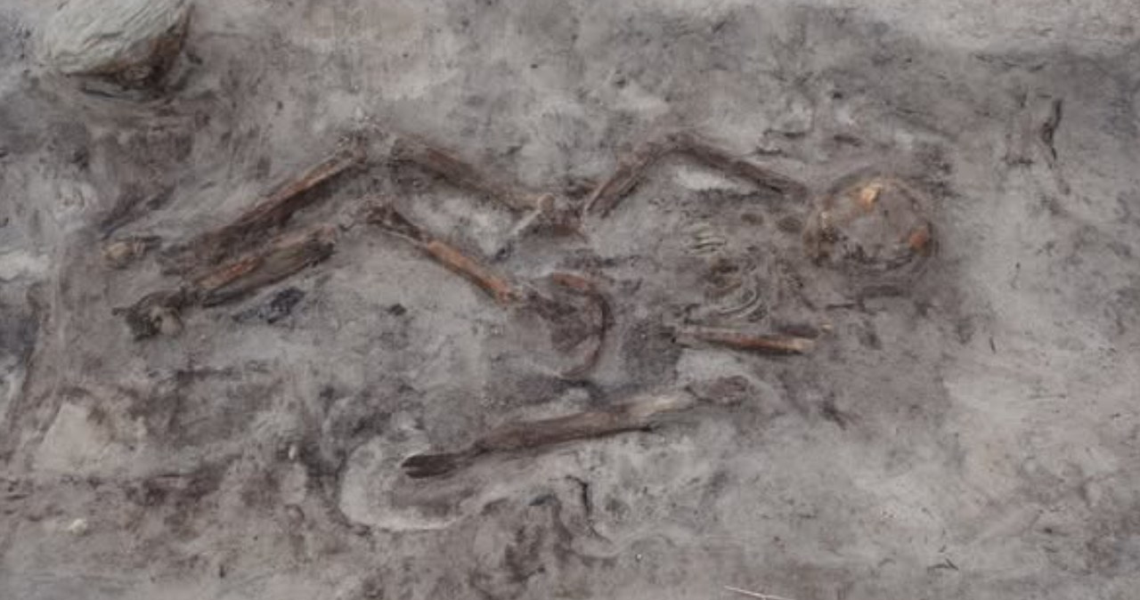 Elitarny pochówek Wikingów. Kobieta, pies i łódź sprzed 1100 lat