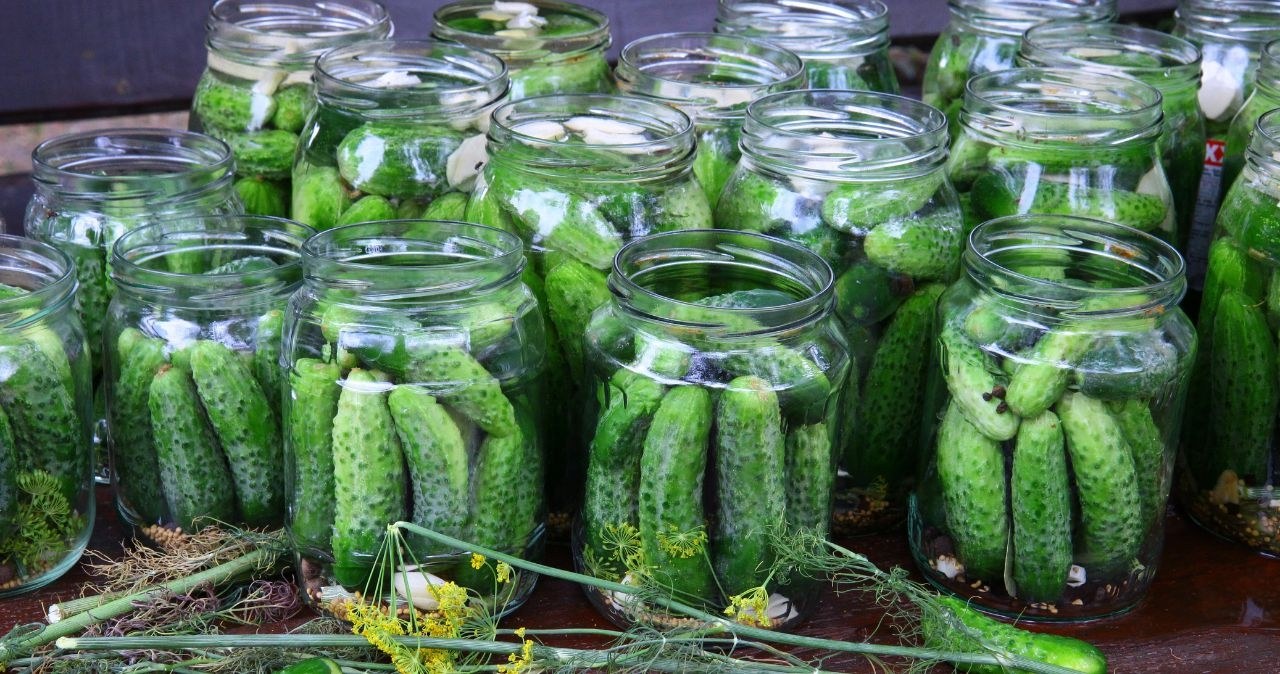 To najlepsza sól do kiszenia ogórków. Nie opóźnia procesu fermentacji