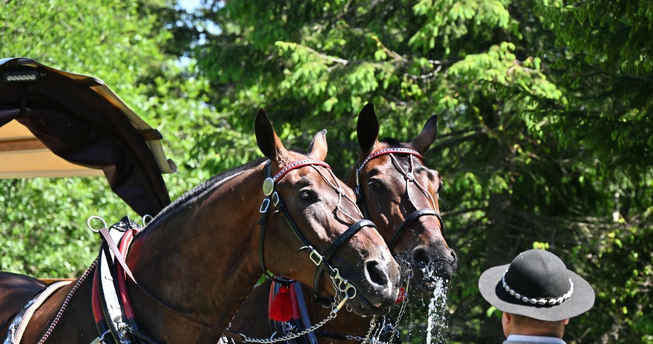 Od wiosny zmiany na trasie do Morskiego Oka. Górale oburzeni. "Chcą nas oszukać"
