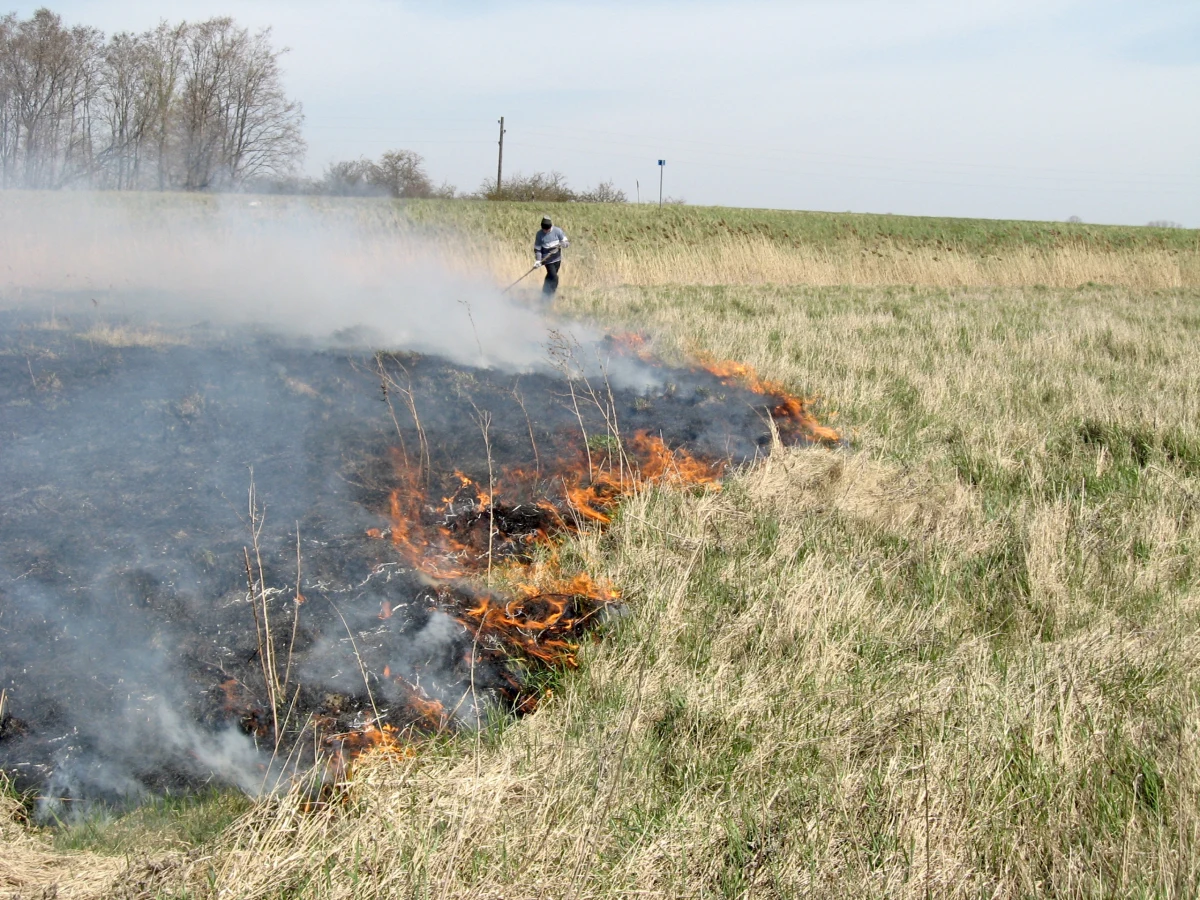 Kary za wypalanie traw oraz rozniecanie ognia w lasach, na łąkach i torfowiskach zostaną znacząco zaostrzone. Przewiduje to projekt nowelizacji przygotowany przez Ministerstwo Sprawiedliwości opublikowany w środę na stronie Rządowego Centrum Legislacji.
