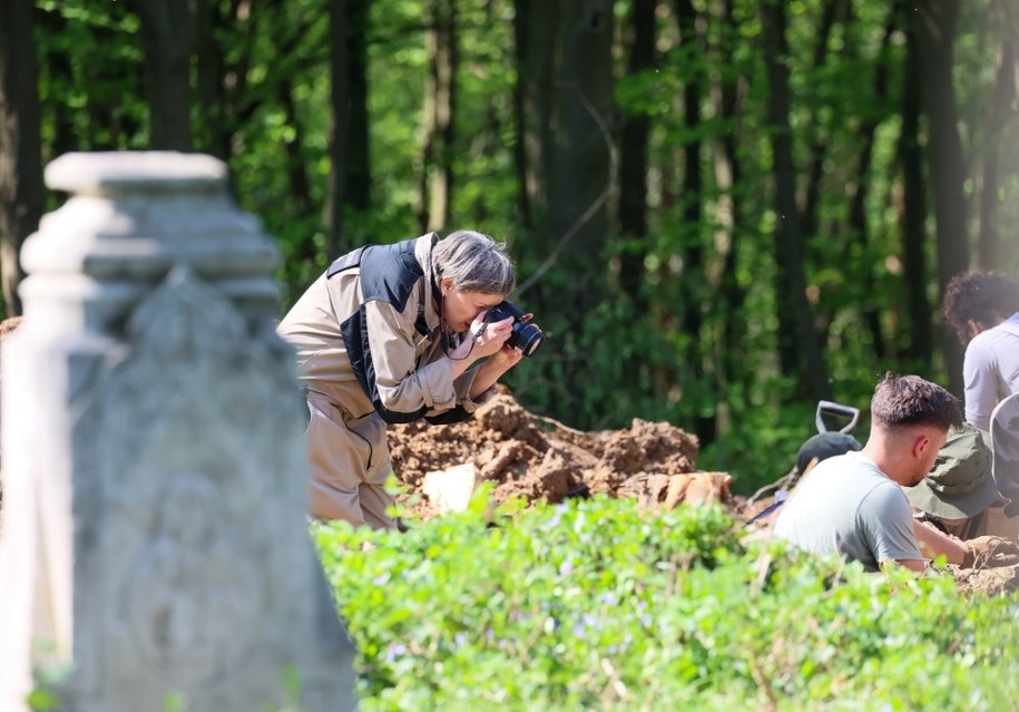 /Wojciech Olkusnik/East News  /East News