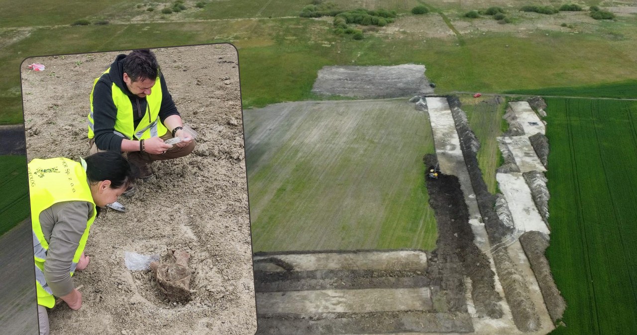 Sensacyjne odkrycie na budowie S17. Absolutna rzadkość