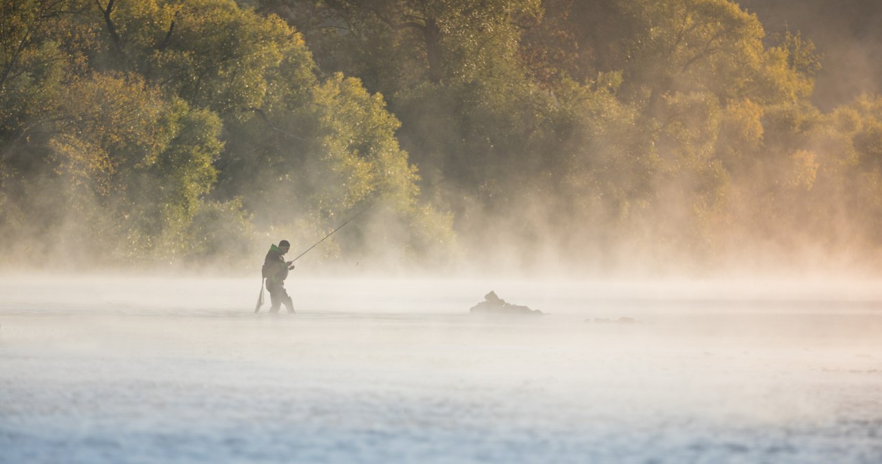 Naukowcy właśnie to ujawnili. Z rzekami świata coś się stało