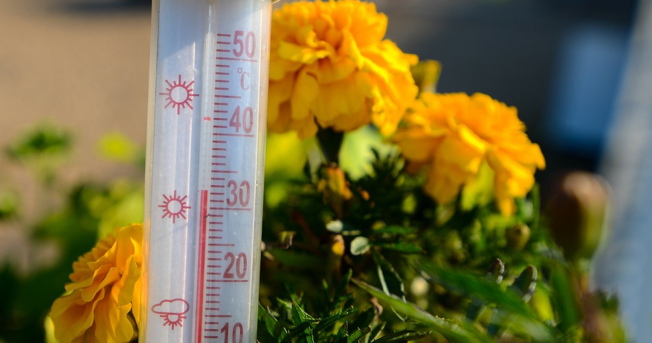 Takiej temperatury w tym roku jeszcze nie było. Prawdziwy skwar