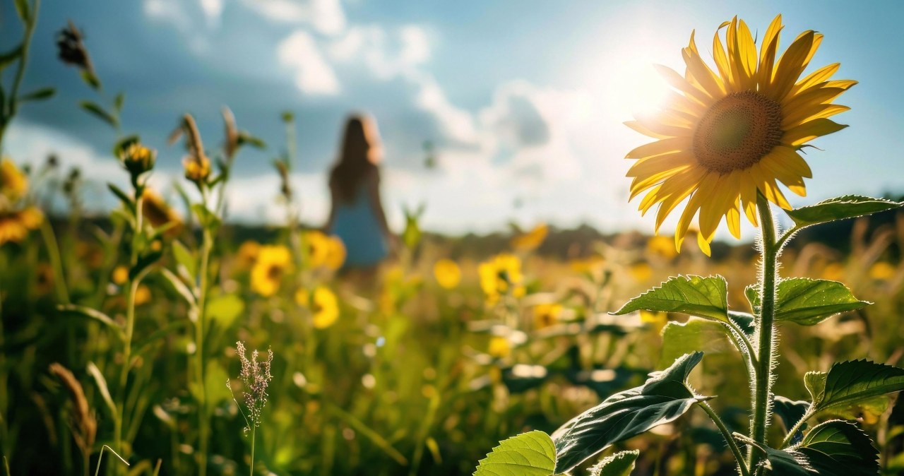 Przesilenie letnie 2025. Odkryj tajemnice najdłuższego dnia w roku
