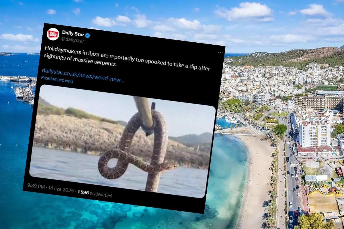 Ibiza, znana z białych plaż i krystalicznie czystej wody, zmaga się z niecodziennym problemem. Węże, które pojawiły się w wodach wokół wyspy, budzą niepokój wśród turystów i mieszkańców. Nagrania gromadzące się w mediach społecznościowych pokazują, jak gady, osiągające nawet 1,8 metra długości, pływają w pobliżu Portinatx, północnego krańca wyspy. 
