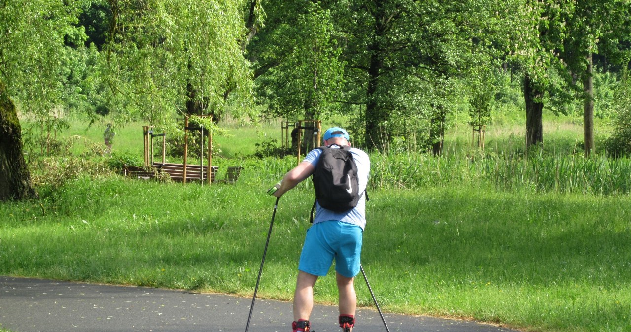 Czy nartorolki są zdrowe dla seniorów? Tak wpływają na stawy