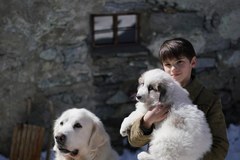 Bella i Sebastian 3