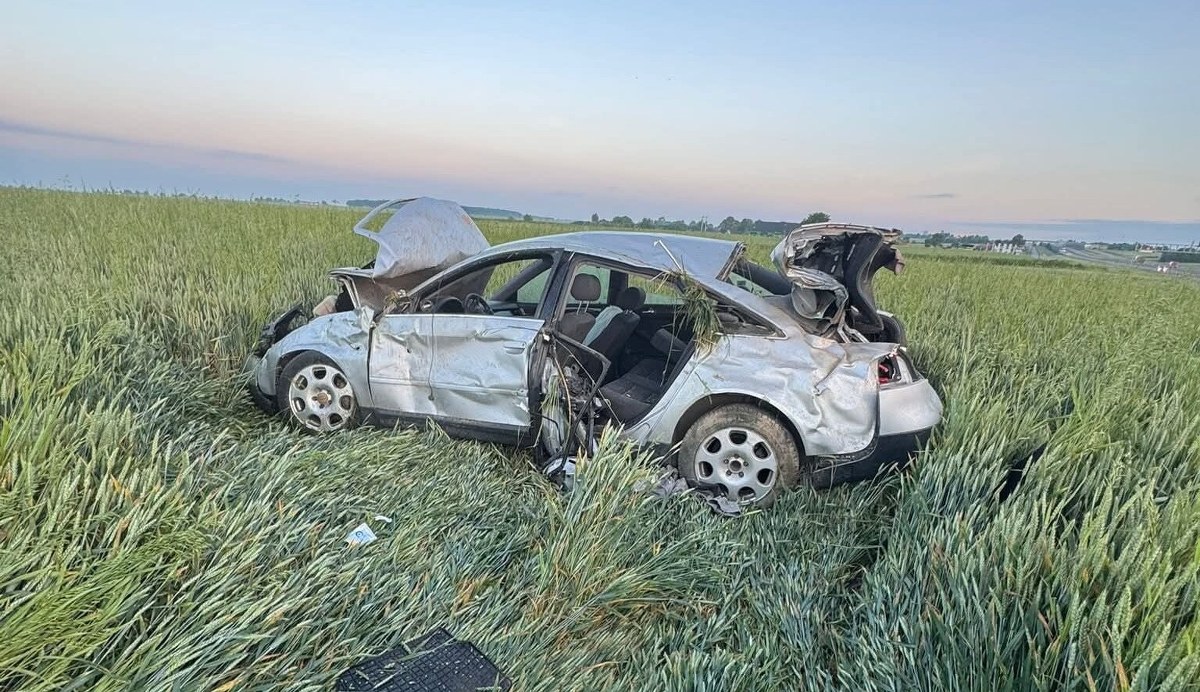 Auto zmasakrowane, a kierowca spał pijany niedaleko wraku