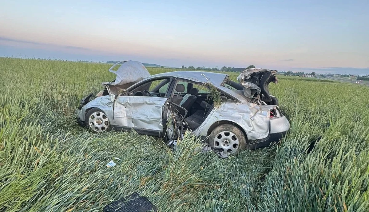Absurdalna historia z Lubelszczyzny. Audi wypadło z drogi i dachowało, lądując w zbożu. Choć pojazd został doszczętnie zniszczony, to kierowcy nic poważnego się nie stało. Mało tego - 23-latek zadziwił policjantów swoim zachowaniem.