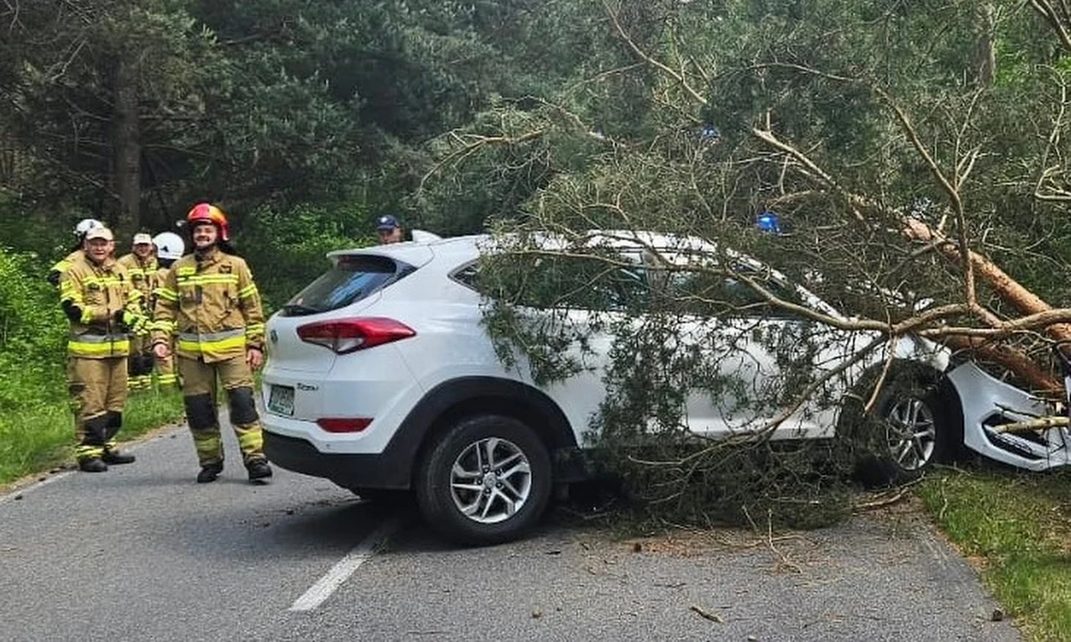 Kobieta kierująca hyundaiem uderzyła w przydrożne drzewo. Do wypadku doszło na Półwyspie Helskim, pomiędzy Kuźnicą a Jastarnią - informuje Stanisław Pawłowski, reporter RMF FM. Poszkodowani - dwie osoby dorosłe i dwójka dzieci - trafili do szpitala.