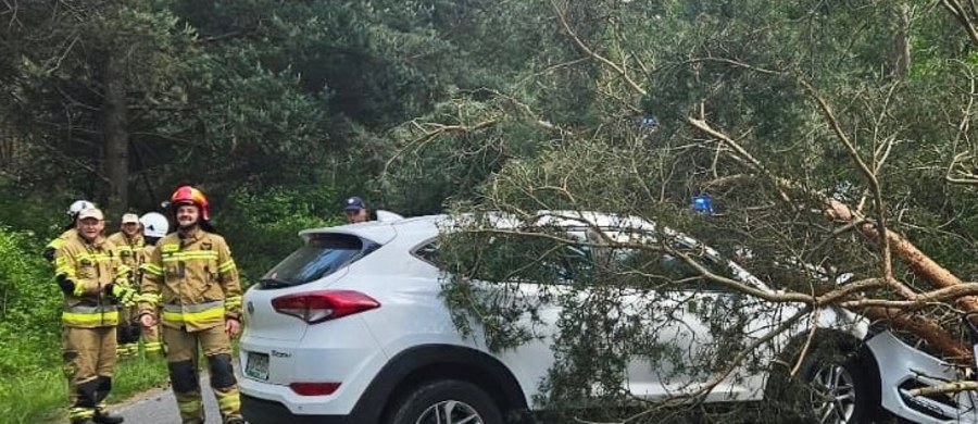 Kobieta kierująca hyundaiem uderzyła w przydrożne drzewo. Do wypadku doszło na Półwyspie Helskim, pomiędzy Kuźnicą a Jastarnią - informuje Stanisław Pawłowski, reporter RMF FM. Poszkodowani - dwie osoby dorosłe i dwójka dzieci - trafili do szpitala.