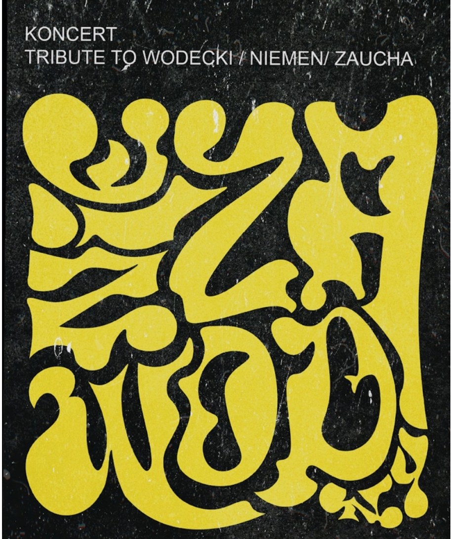 /Kuba Badurka Teatr Muzyczny w Gdyni /Materiały prasowe